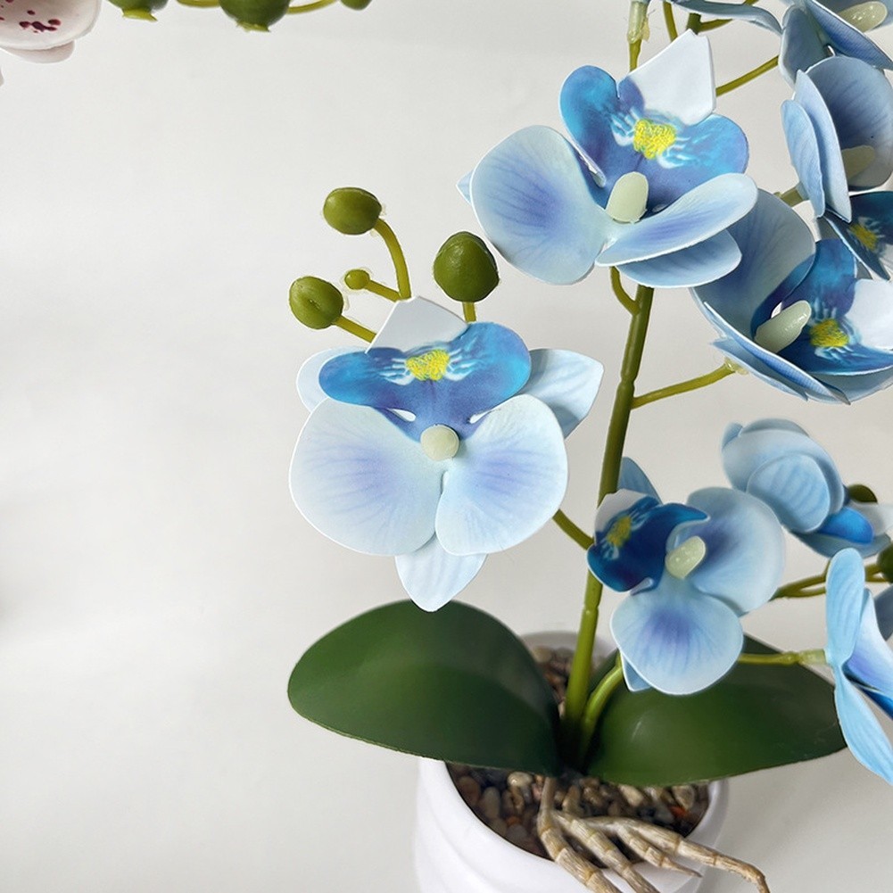 Elegant Floral Display Faux Phalaenopsis Orchid Dust Resistant 12-bloom Design