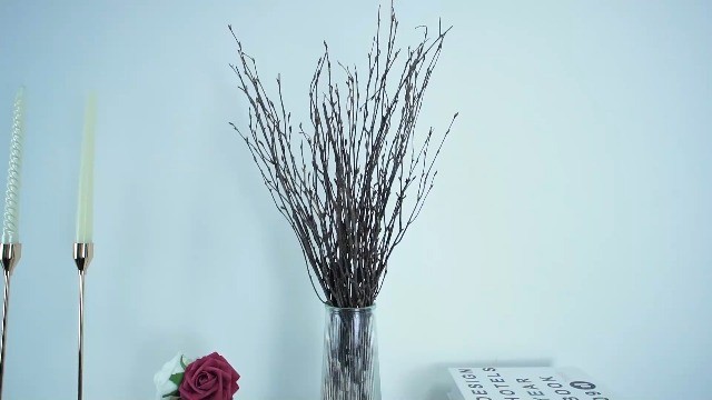50PCS 17″ Natural Dried Birch Twigs – Decorative Branches for DIY Crafts, Vases