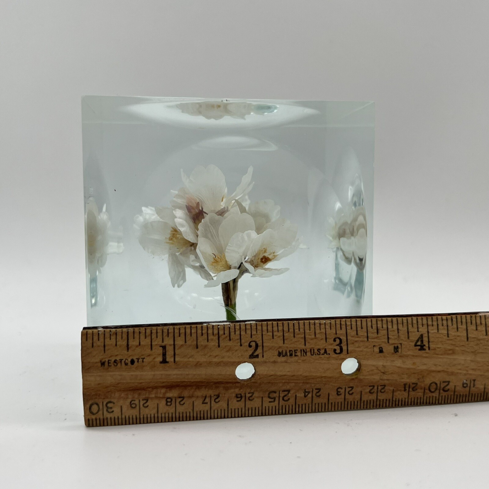 Crystal Clear Lucite Acrylic Large 3 3/4in” Sola Cube Cherry Blossom Flowers