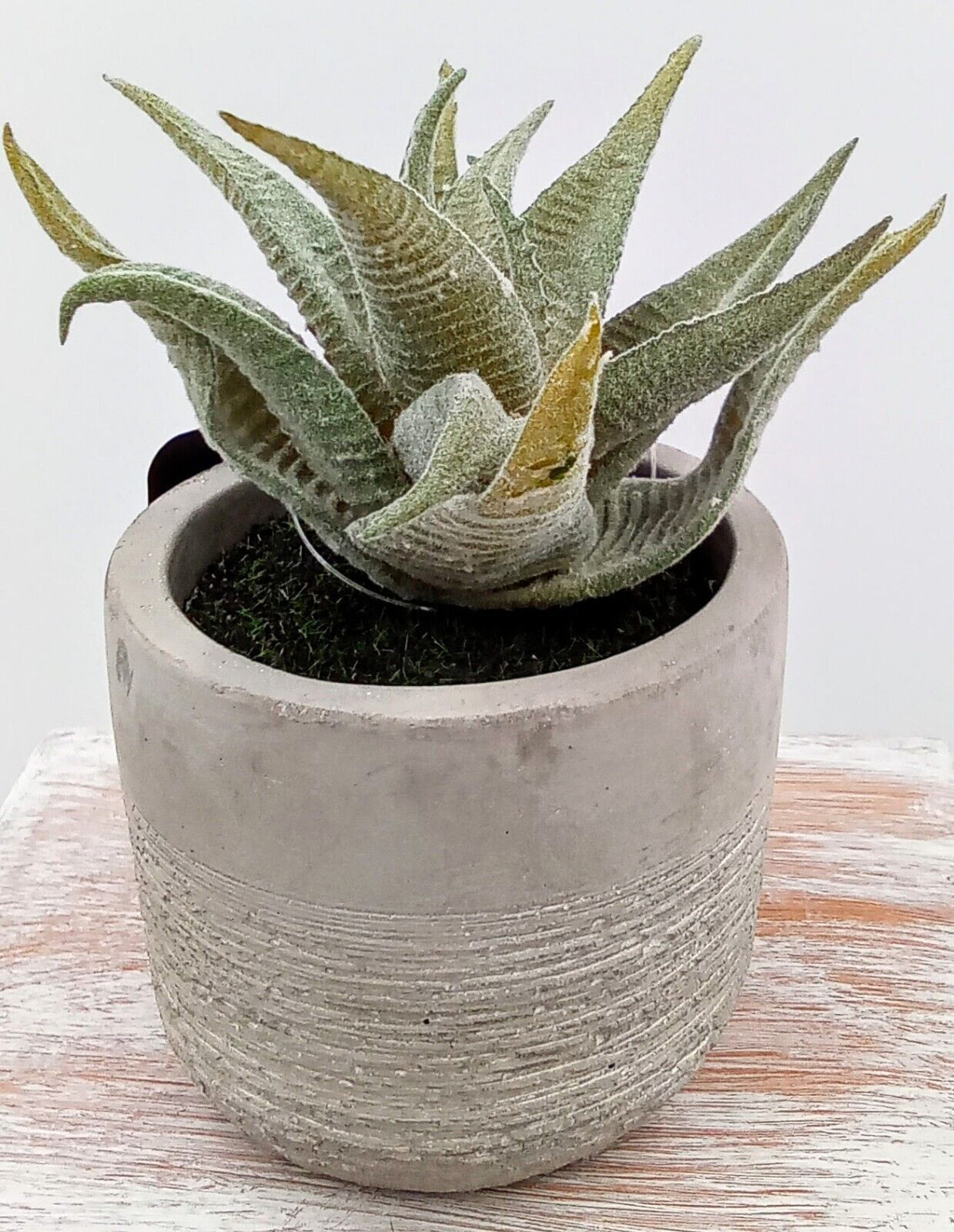 Aloe Succulent Cement Pot Planter Gray Green Artificial Plastic Foam Floral 4.5″