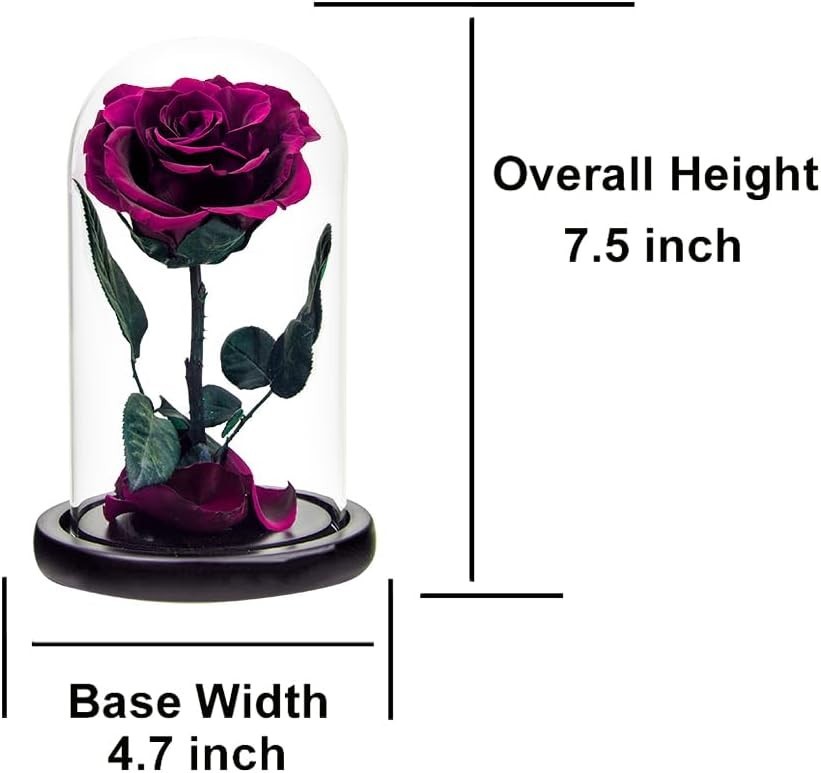 Luxury Preserved Roses in Glass Dome – Perfect for Anniversary and Mother’s Day