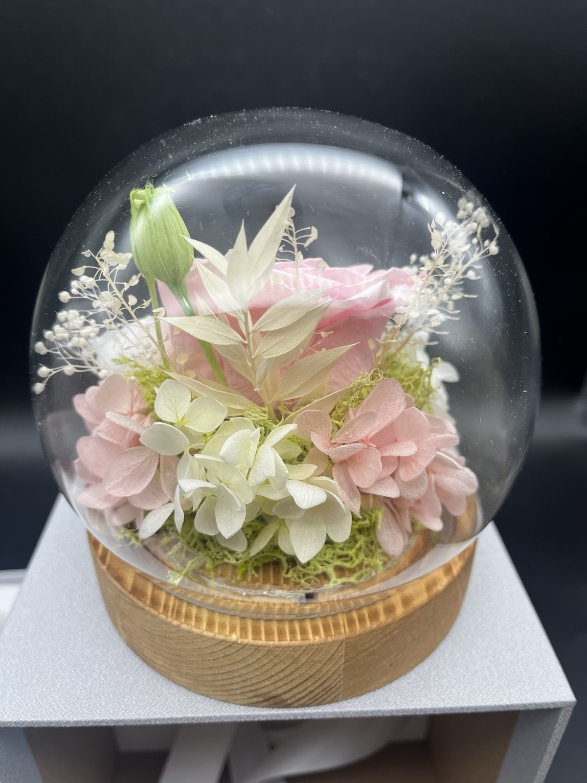 Valley of Rain & Forest Long-Lasting Real Flowers LED Light up Pink White Roses
