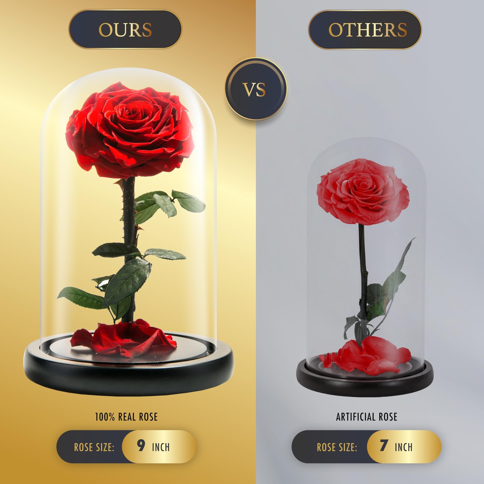 LOVAPPY Forever Preserved Rose – Eternal Rose in Glass Dome – Beauty and The …