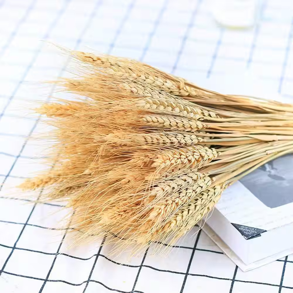 2.48 In. (Set of 100) Natural Dried Wheat Stalks 16 In. Tan Artificial Plant Whe