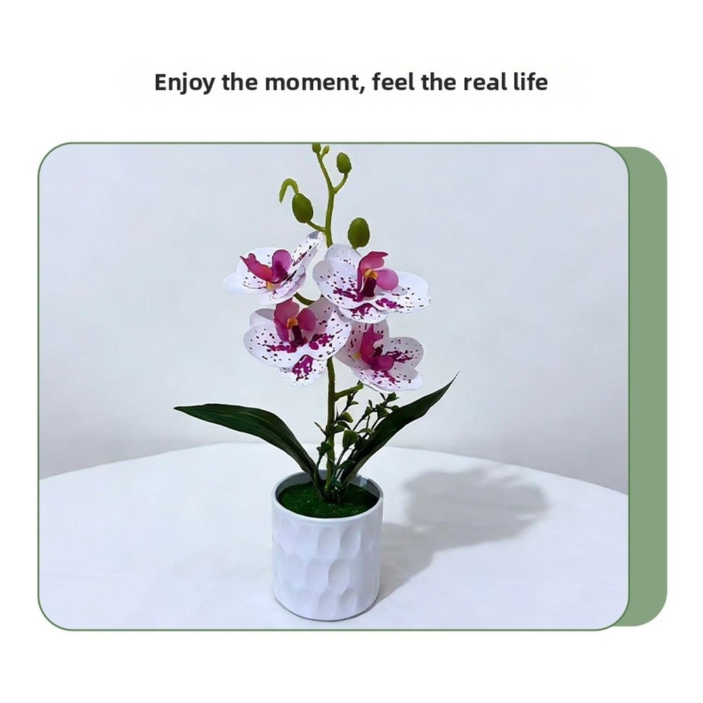 Plastic Phalaenopsis Orchid 3D Printed Potted Artificial Flower 28 x 15 cm