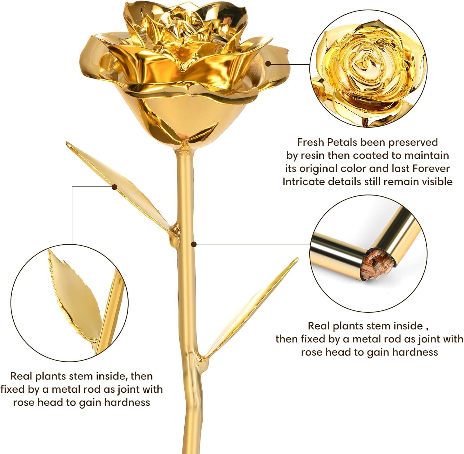 Anthonic Gold Dipped Rose Real 24K Gold Rose, Genuine One of a Kind Rose Hand Di