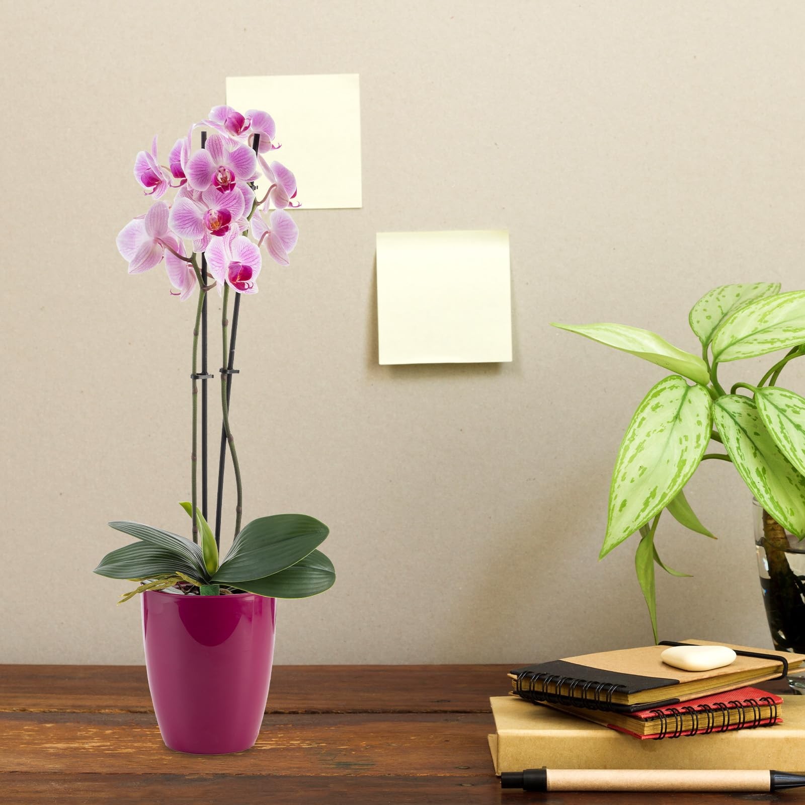 2 Pcs Orchid Leaves Artificial Real Touch Faux Phalaenopsis Stems Leaf 8 Inch…