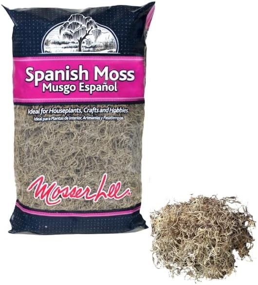 Rustic & Organic Spanish Moss for Houseplants, Crafts & Floral Arrangements