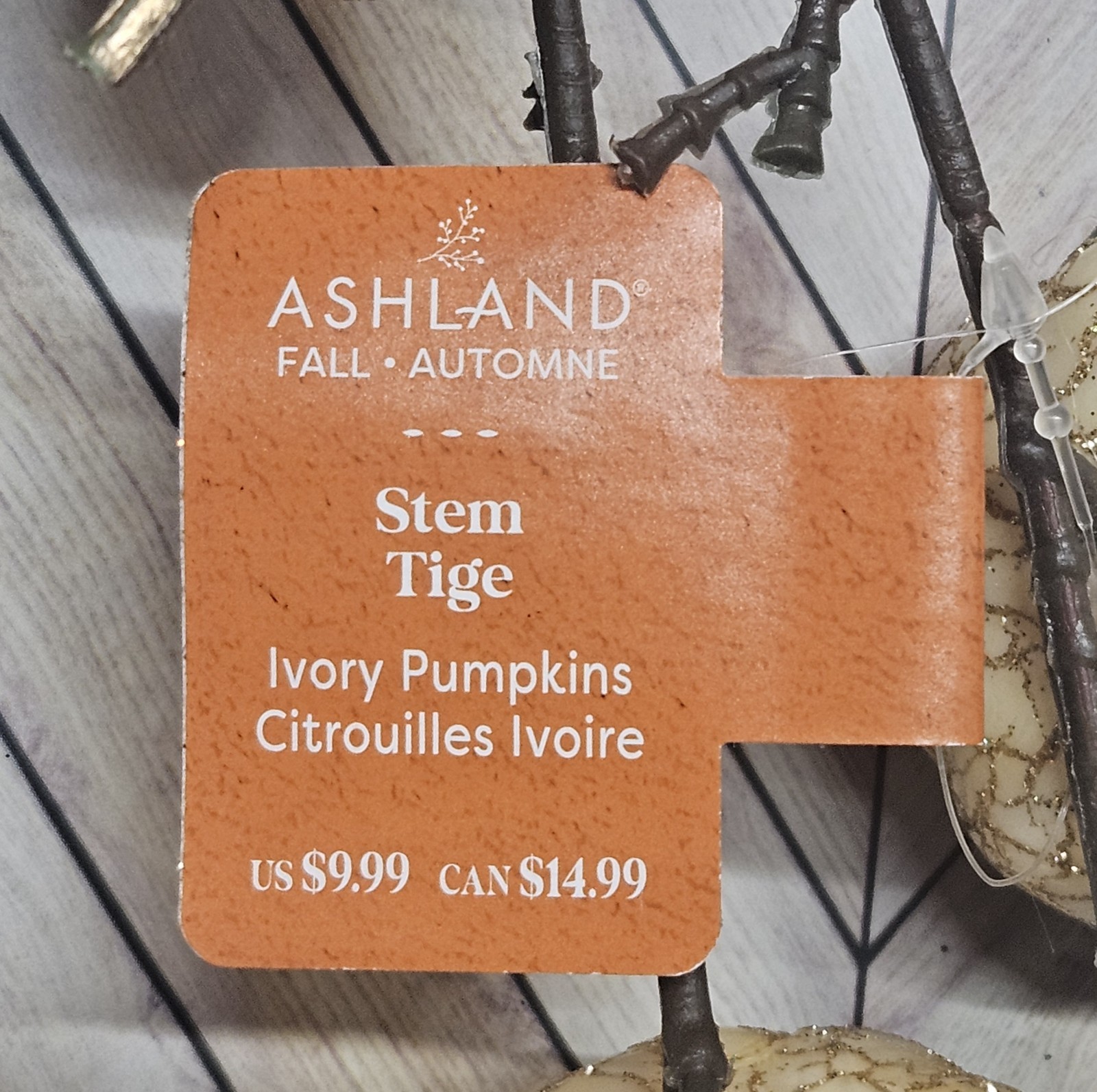 Ashland Ivory Pumpkin Stem 2 Pack