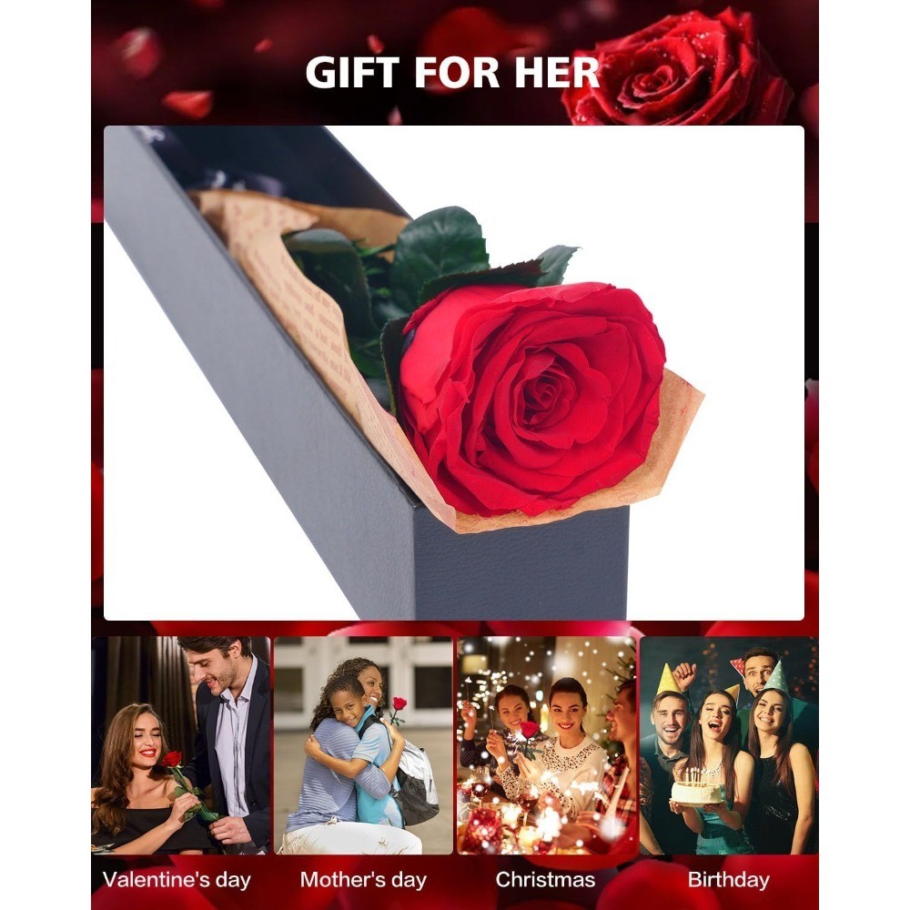 Preserved Real Rose Gift for Women Valentine Mother Day Birthday Christmas