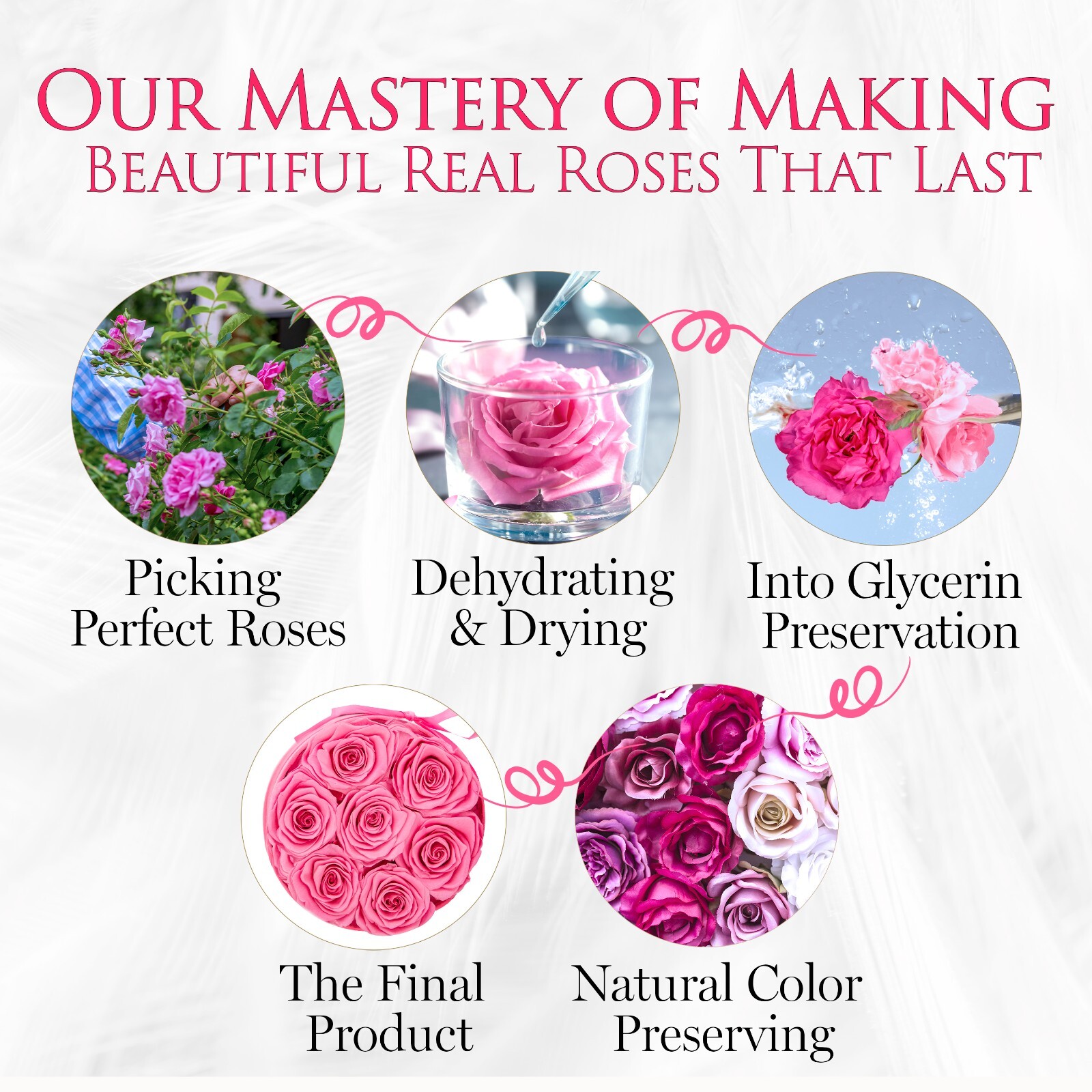 GLAMOUR BOUTIQUE Preserved roses in a box – Forever flowers Barbie Collection