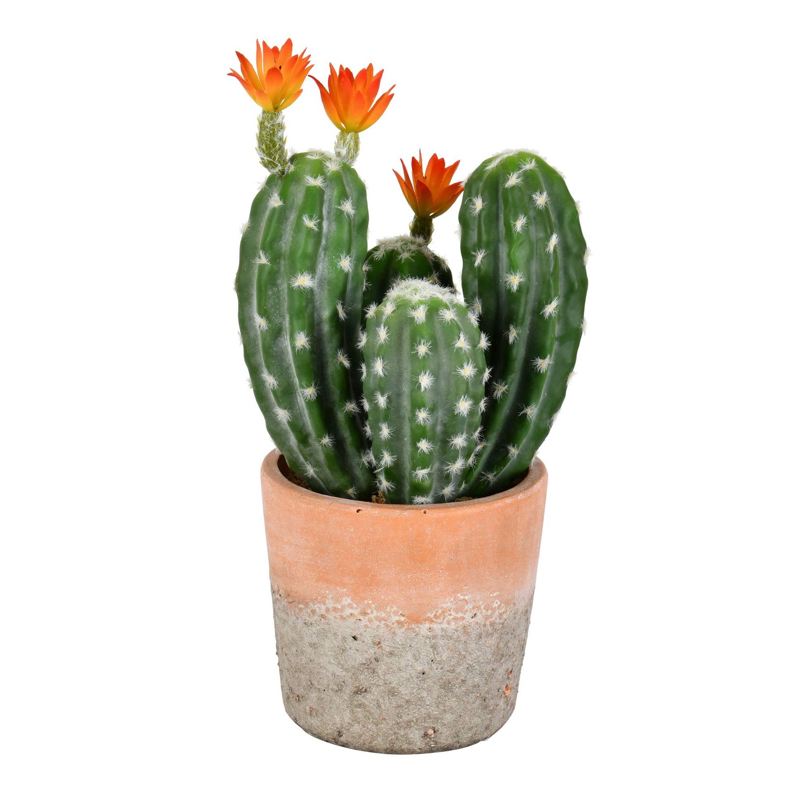 Vickerman 14″ Contemporary Plastic Artificial Cactus with Clay Pot in Green