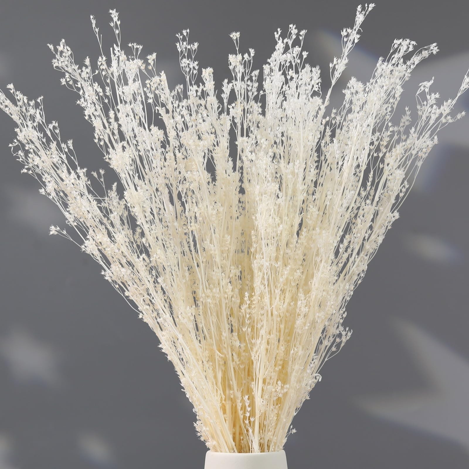Dried Flowers Babys Breath Bouquet, – 17 Inch 3500+ Preserved Natural Flowers…