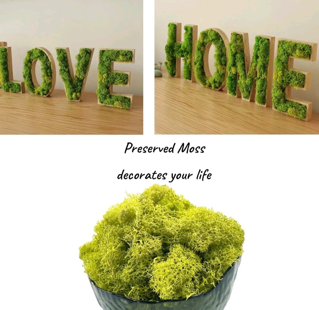 8.8 oz. Natural Preserved Moss for Crafts, Art Projects, etc. Lemon Yellow-Green