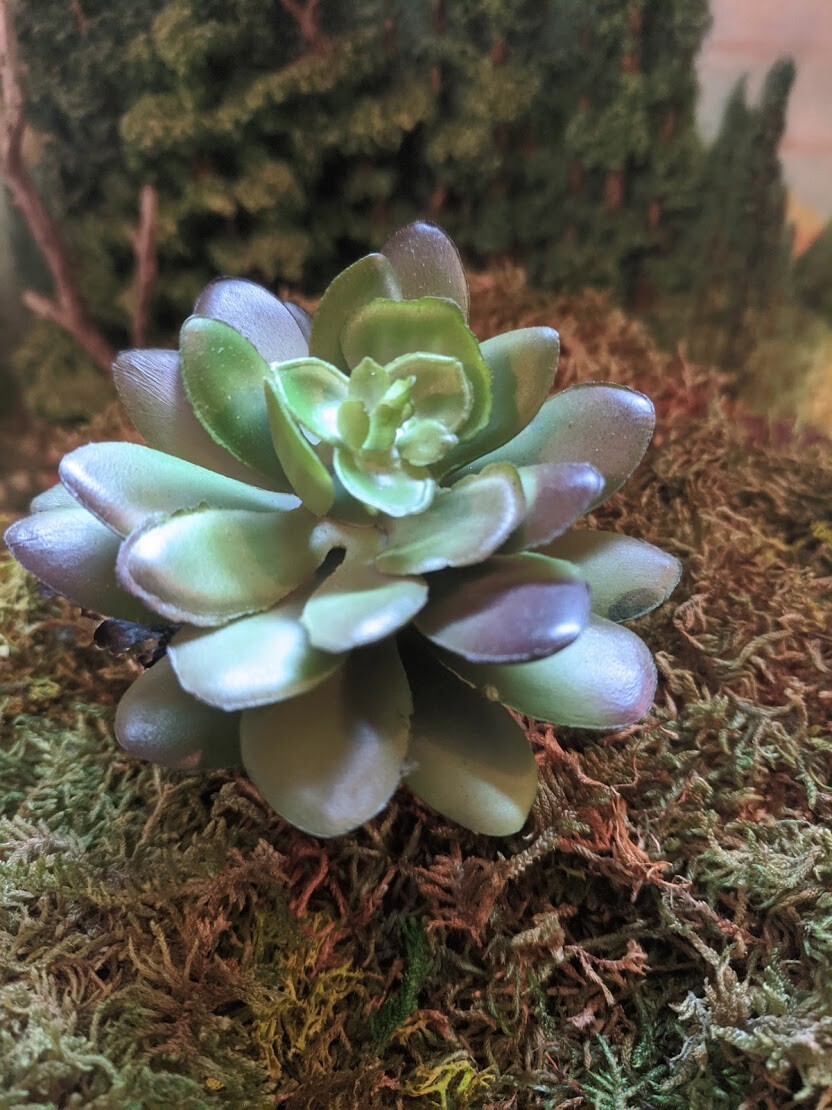 Faux Succulent Plant Pick – Lotus Rosette Dark Green 2.75 inches DA DC-7779