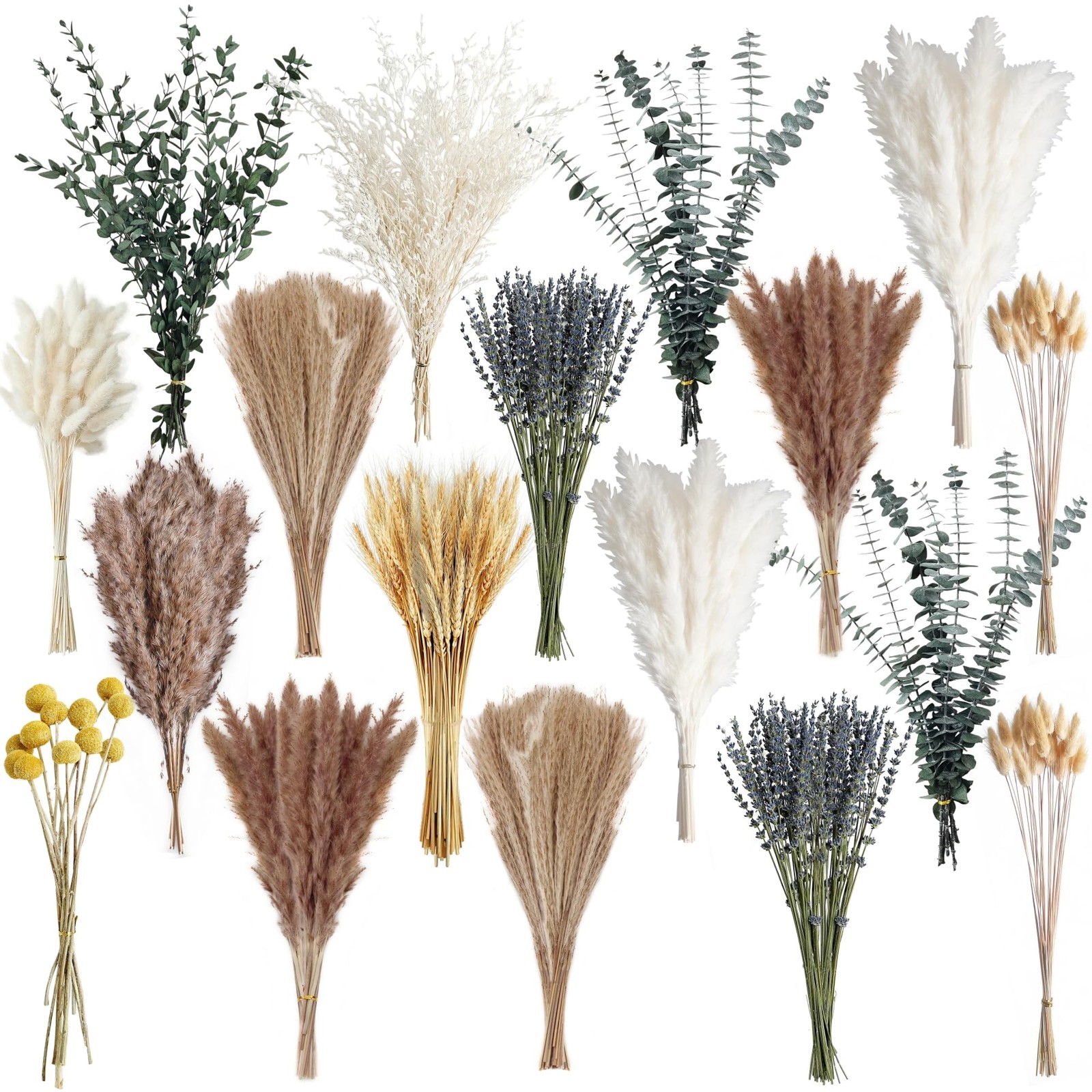 500PCS Dried Pampas Grass Bouquet – Boho Dried Flowers for Vase, White & Brow…