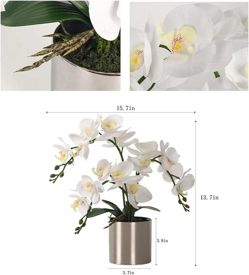 Real Touch White Orchid Arrangement in Silver Vase for Home Decor