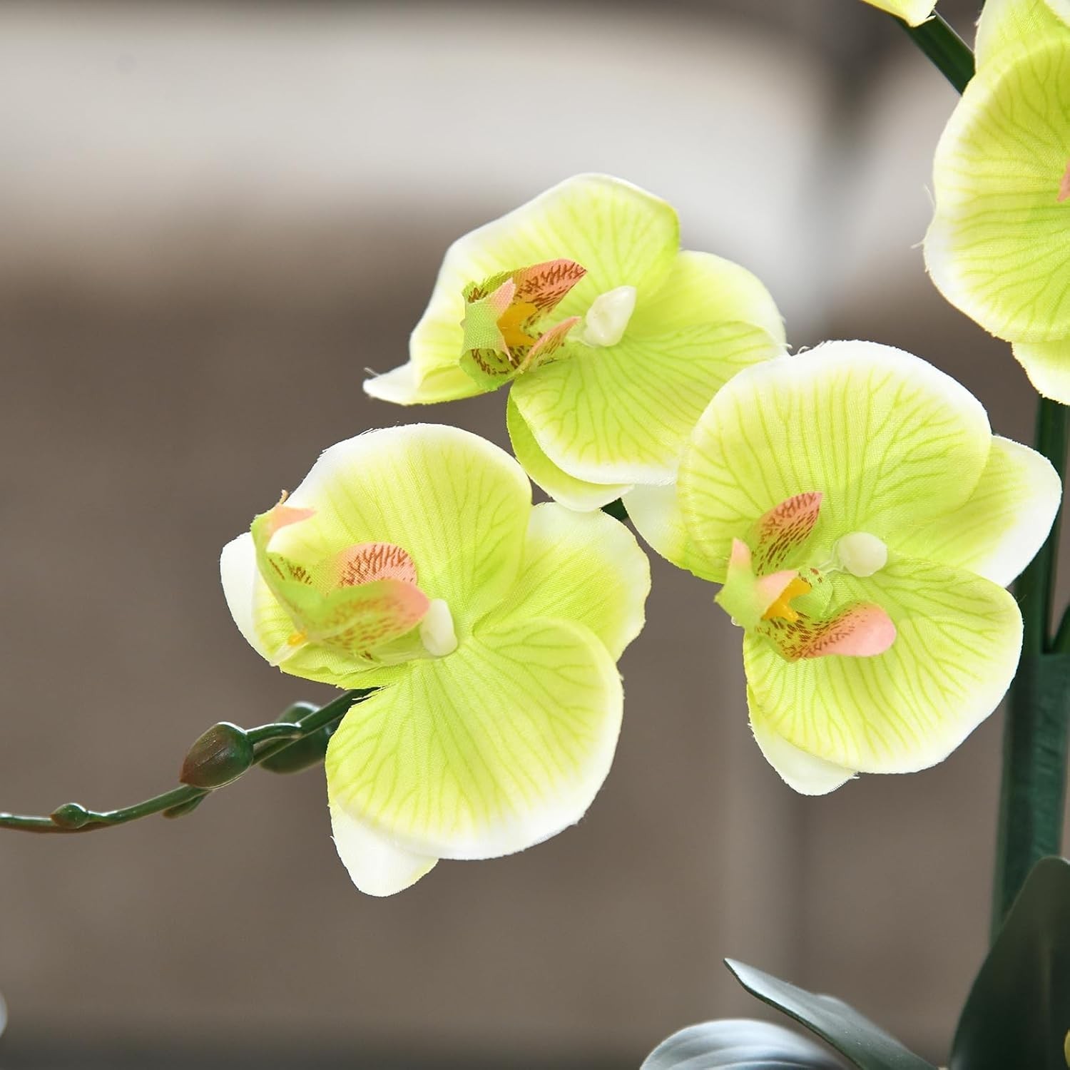 Gorgeous 15-Inch Silk Phalaenopsis Orchid Plant – Perfect Housewarming Gift