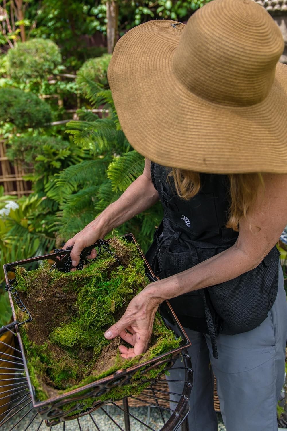 Natural Moss for Floral Arrangements