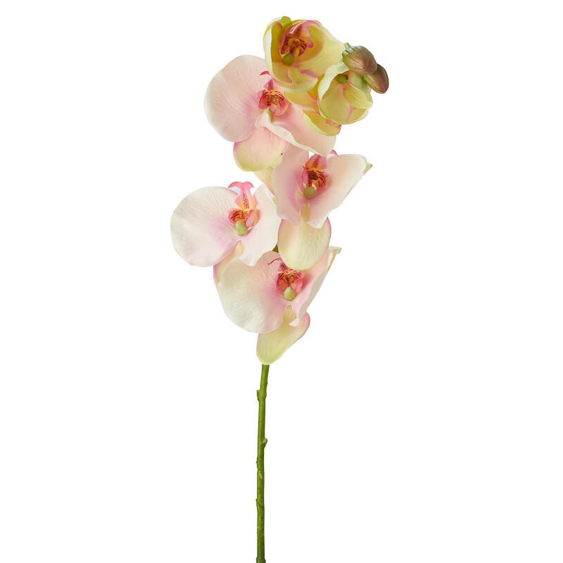 Package of 2 Artificial Pink Poly Silk Moth Orchid 32″ Floral Stems