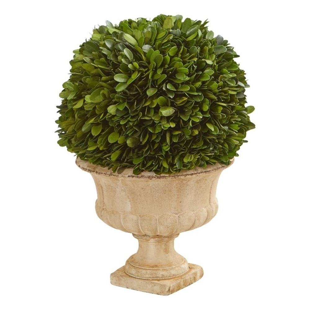 Nearly Natural 12″ Boxwood Topiary Ball Preserved Plant in Decorative Urn