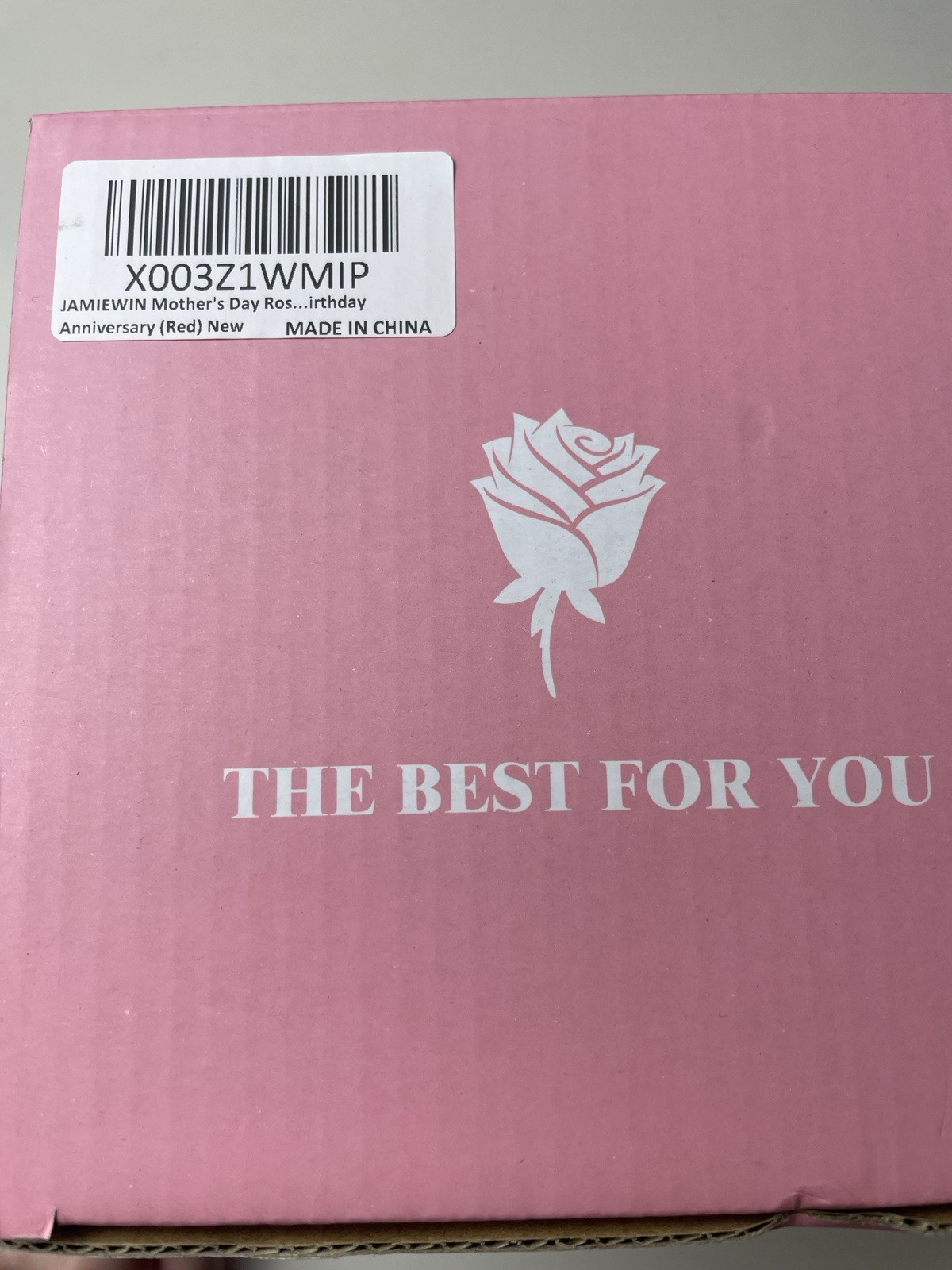 Jaime Win Mother’s Day Rose In Jar Light Up LED Birthday Valentines Day New