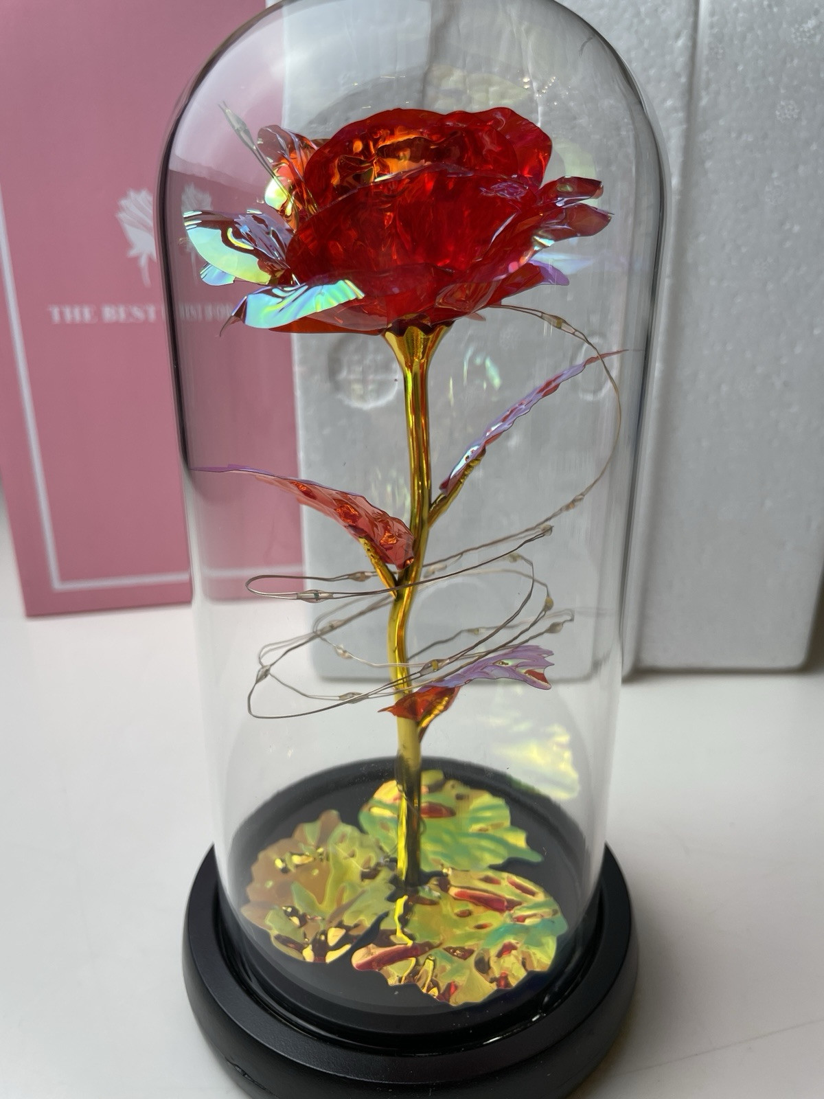 Jaime Win Mother’s Day Rose In Jar Light Up LED Birthday Valentines Day New