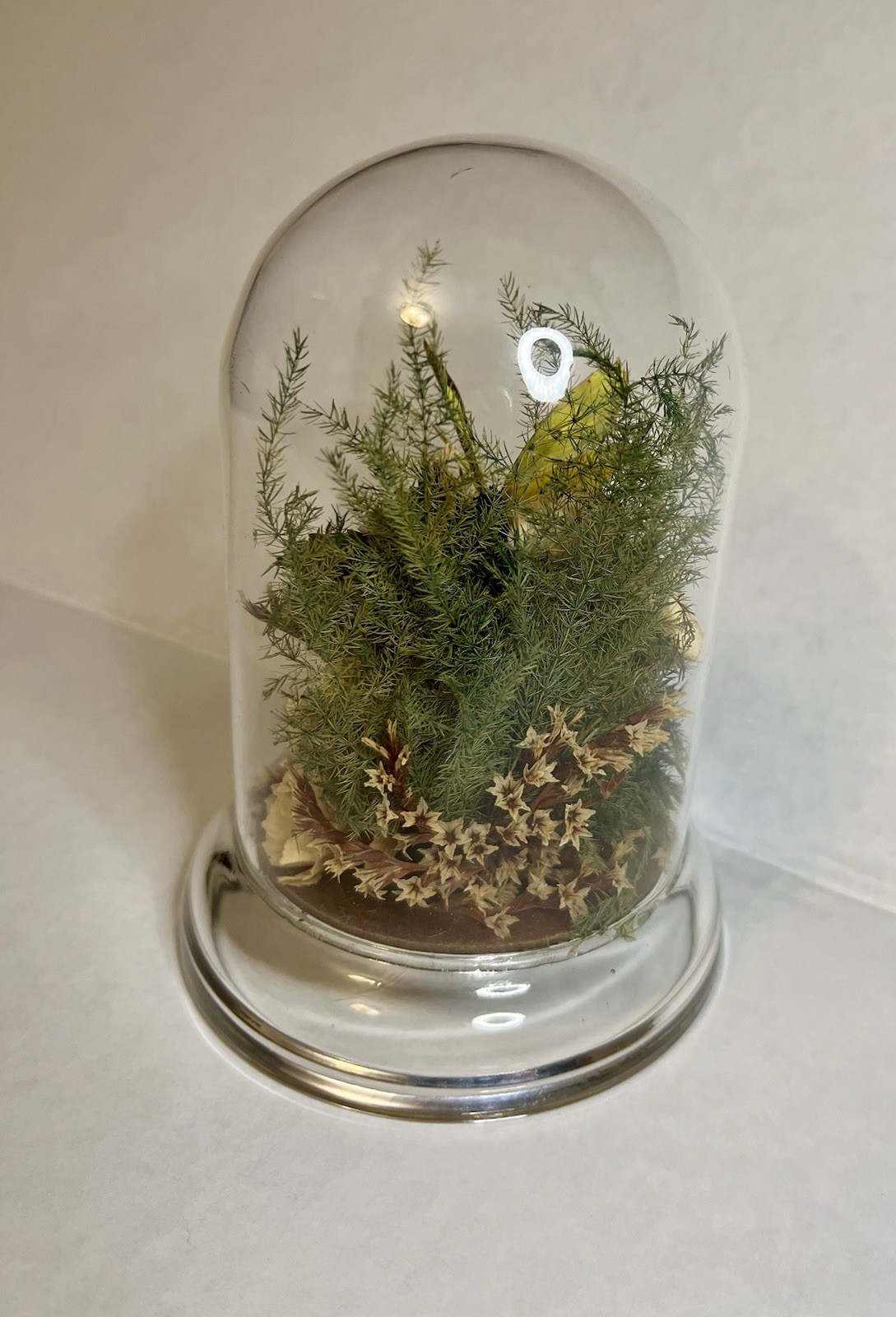 Vintage 90s Natural Expressions Dried Roses Butterfly Glass Terrarium Grannycore