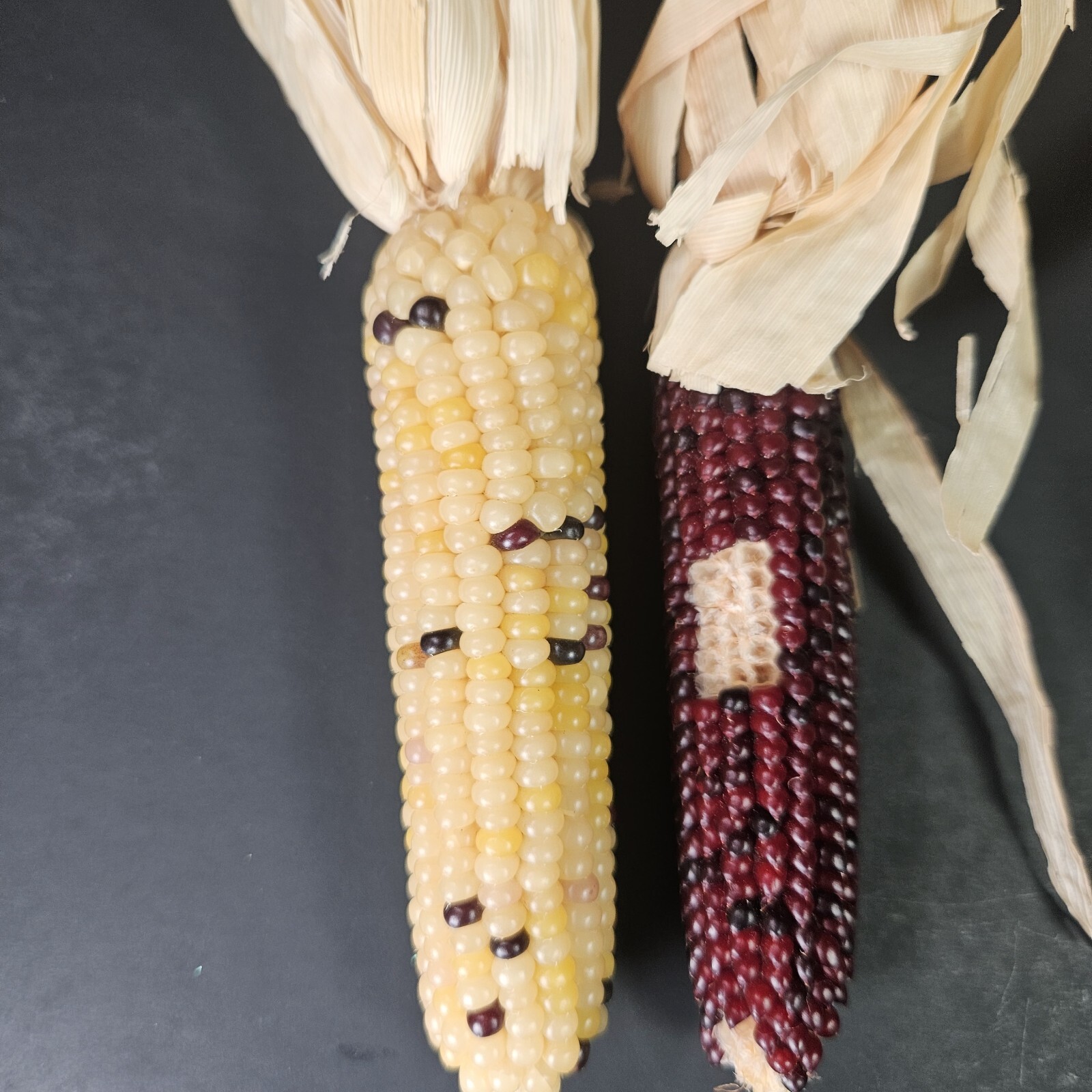 Beaded Indian Corn Cob Mix Lot Styrofoam Acrylic Yarn Thanksgiving Autumn Decor