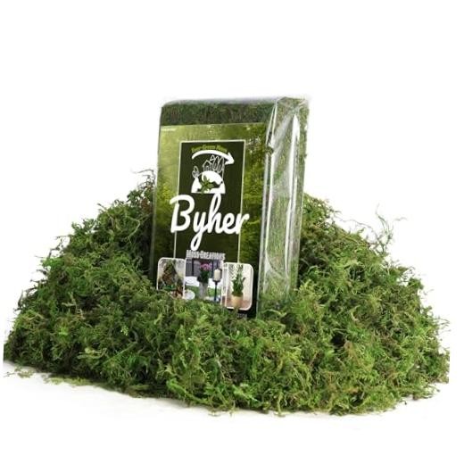 7OZ Moss for Plants Indoor, Natural Looking Faux Grass for Crafts, Fresh Green