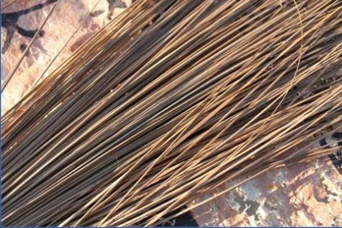 Real Coconut Leaf Sticks for Decorations Dried Sticks free shipping 100% organic