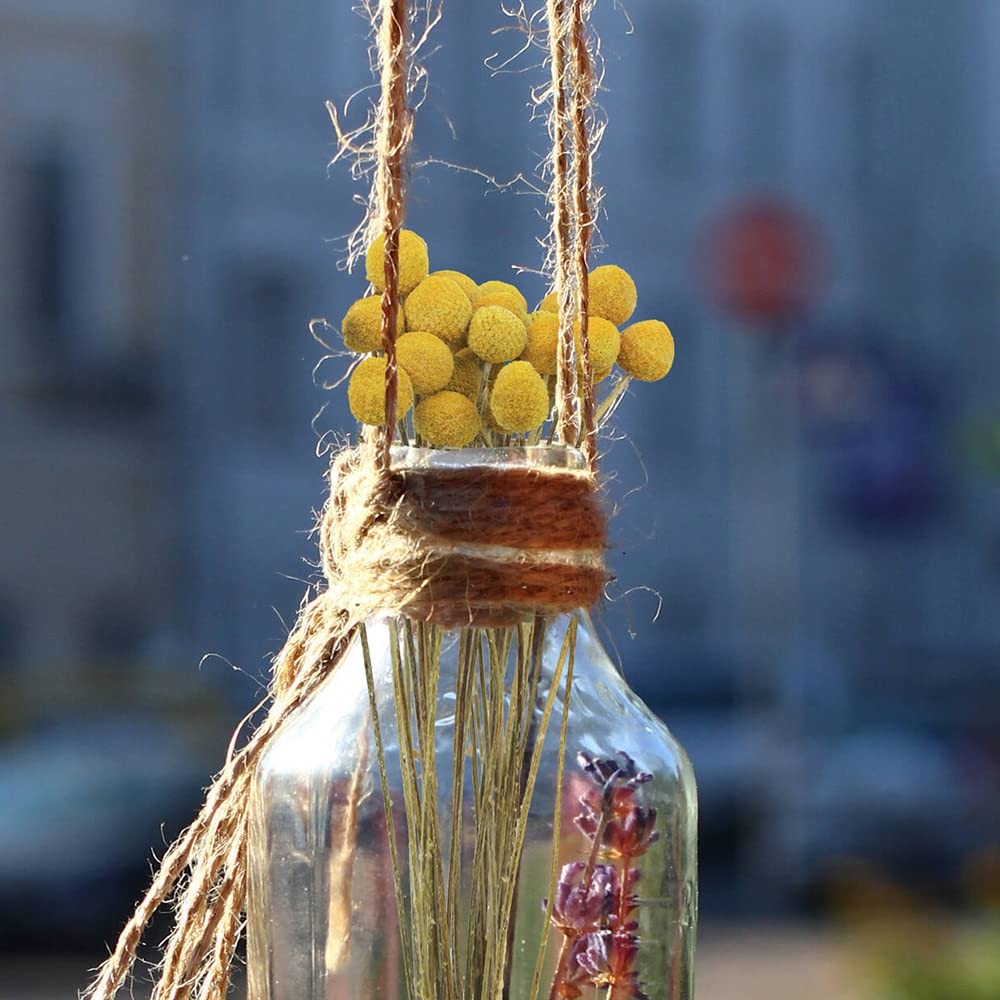 30 Pcs Natural Dried Flowers Craspedia Billy Balls Flowers Yellow Dried Crasp…