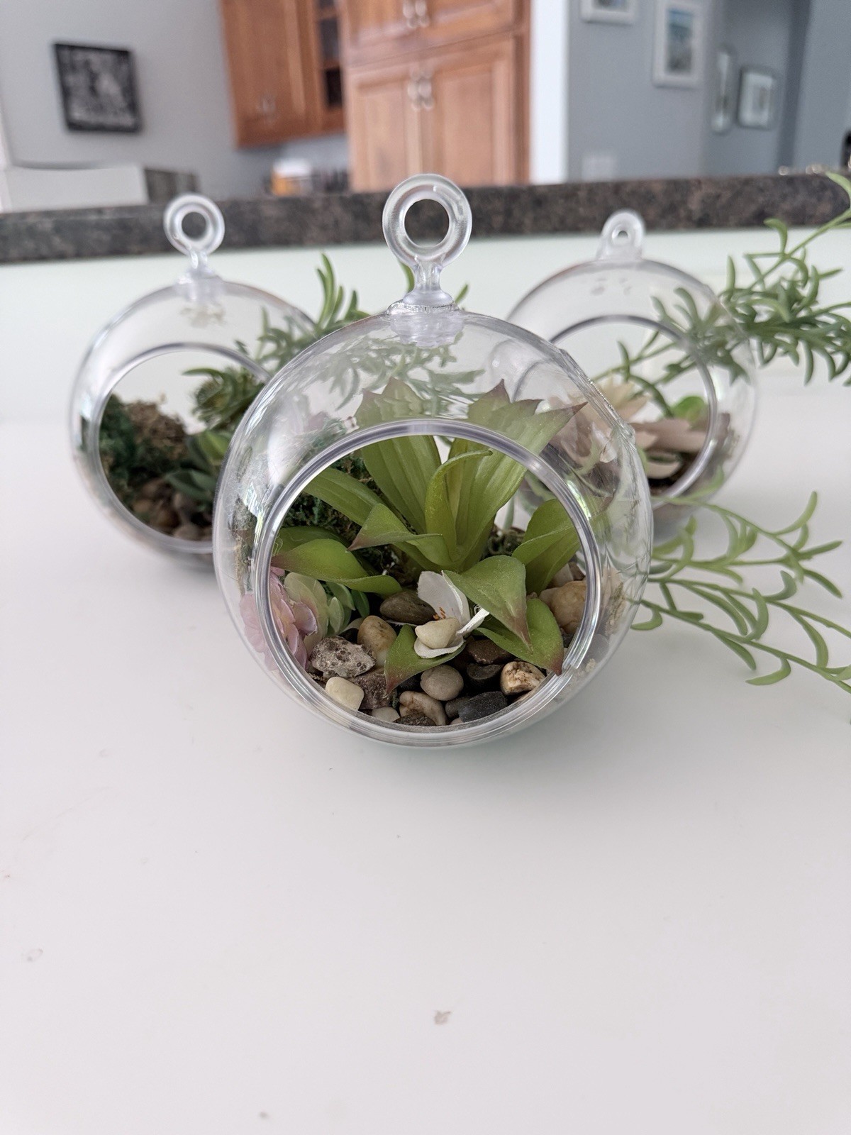 Clear Plastic Containers With Faux Plants With Rocks