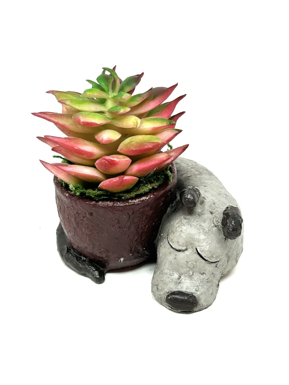 2.5″ Potted Baby SLEEPING DOG Blob House Mini pot WITH faux Red-Green Succulent