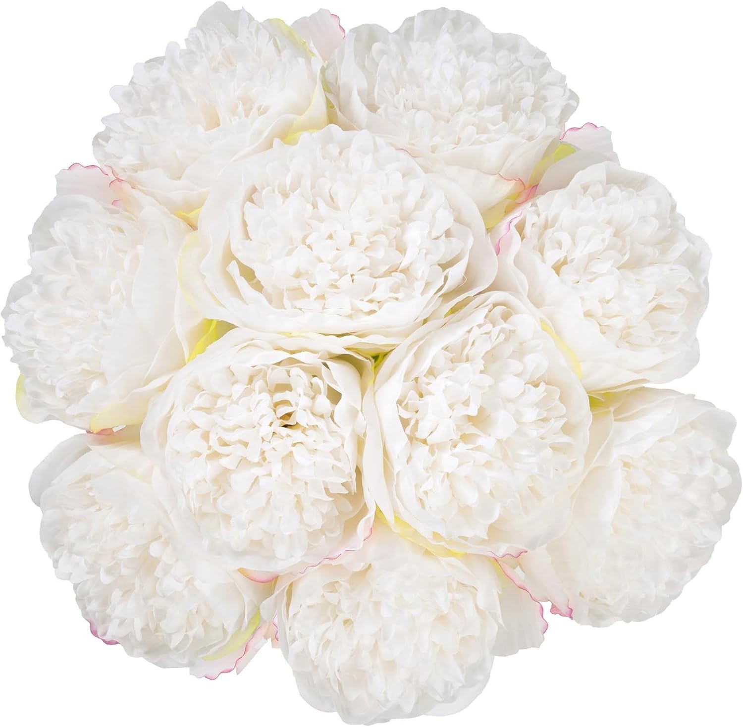 Lightweight 20pcs Artificial Peony – Dust and Fade Resistant Floral Elegance