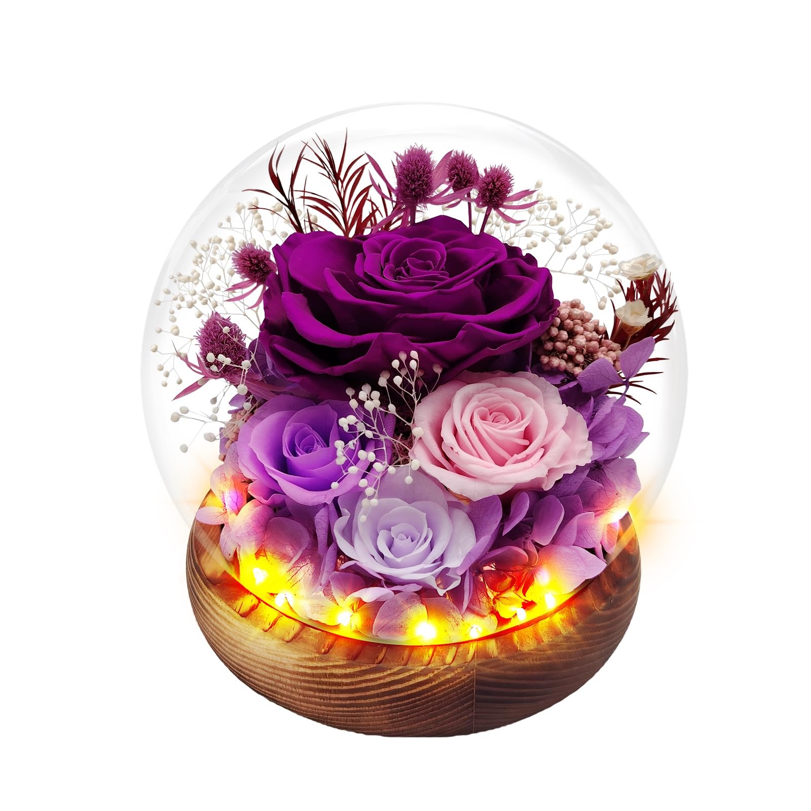 Eascor Preserved Rose Forever Flowers in Glass Dome Gifts for Women,