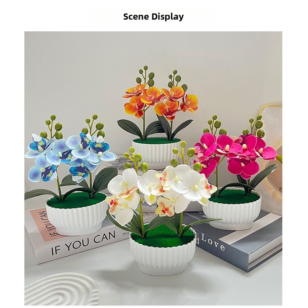 Phalaenopsis Orchid Simulation Potted Flower for Contemporary Interior Design