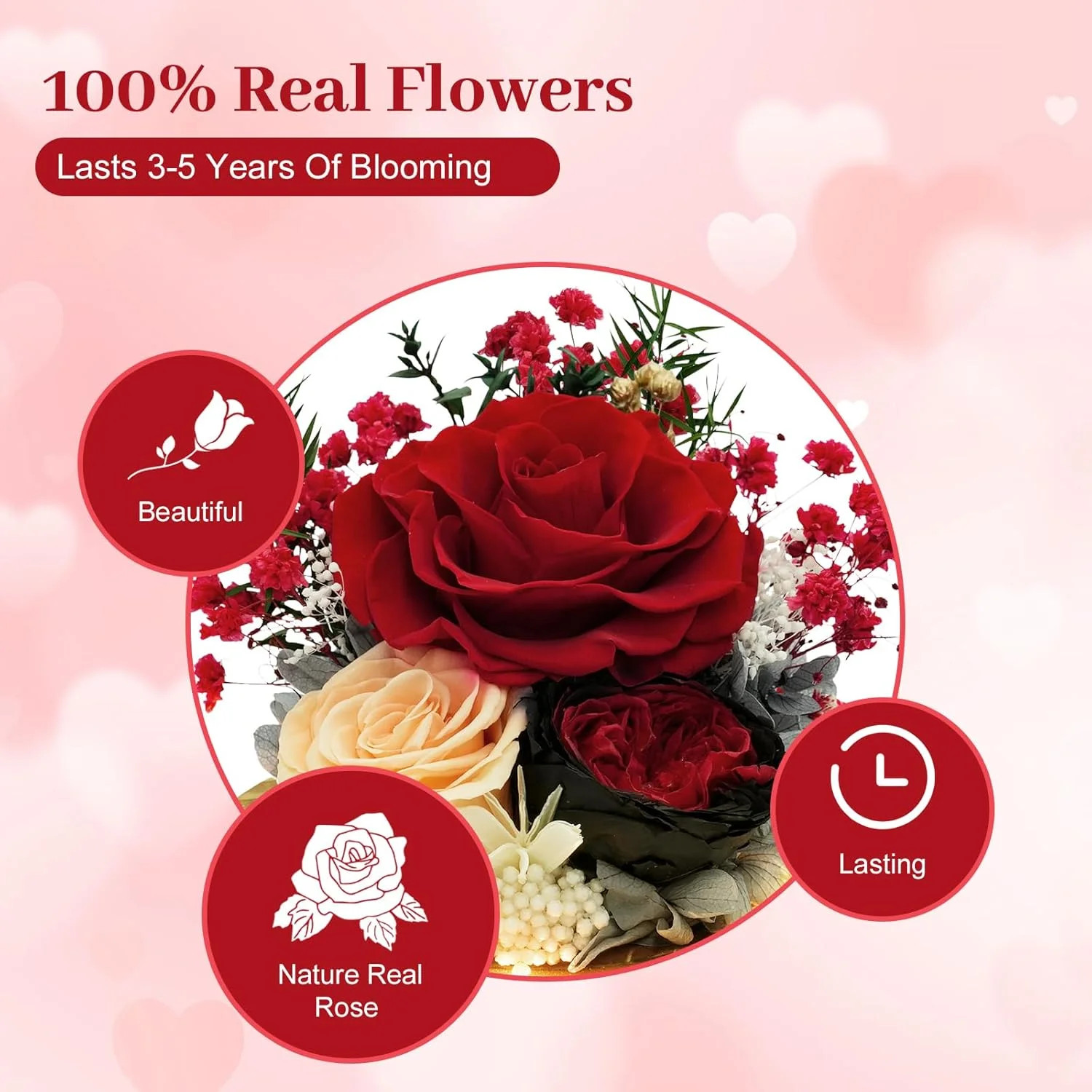 Preserved Flowers Birthday Gifts for Women Preserved Rose in Glass Dome Forever