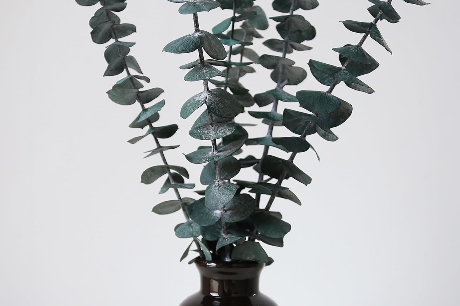10 PCS Dried Eucalyptus Stems for Shower Bathroom Decor 15-16″ Real Leaves Br…