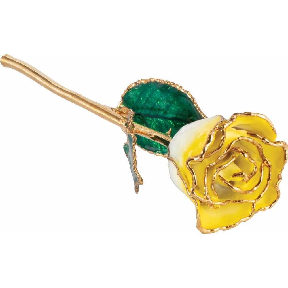 24k Gold Dipped Cream Yellow Lacquer Real Rose Valentine’s Day Holiday Gift