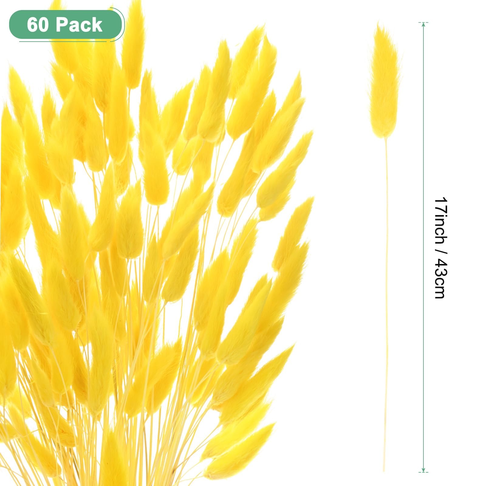 60 PCS Bunny Tails Grass 17 Inch Fluffy Rabbit Dried Flowers Branches Golden