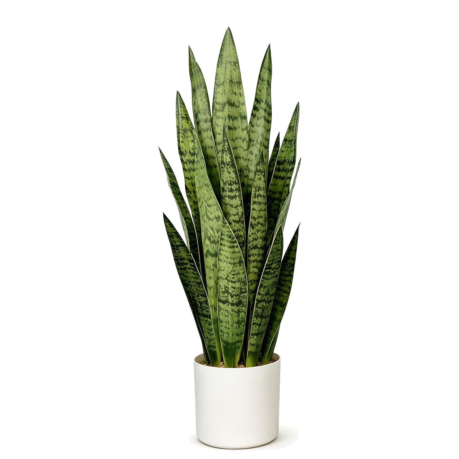 Fake Snake Plant, 27in Artificial Plant with White Pot Realistic Leaves, Low …