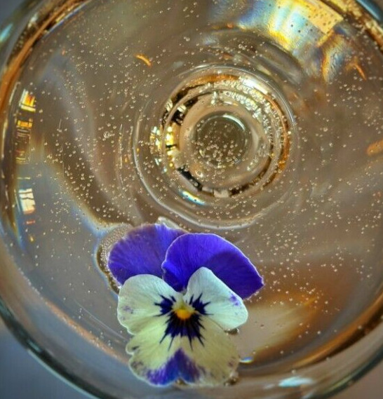 Fresh Edible Garnish Flowers-Bright Pansies Overnight Free Shipping WEDNESDAYS