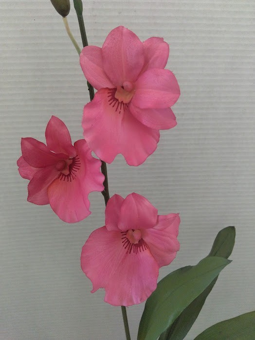 ARTIFICIAL miltoniopsis orchid plant