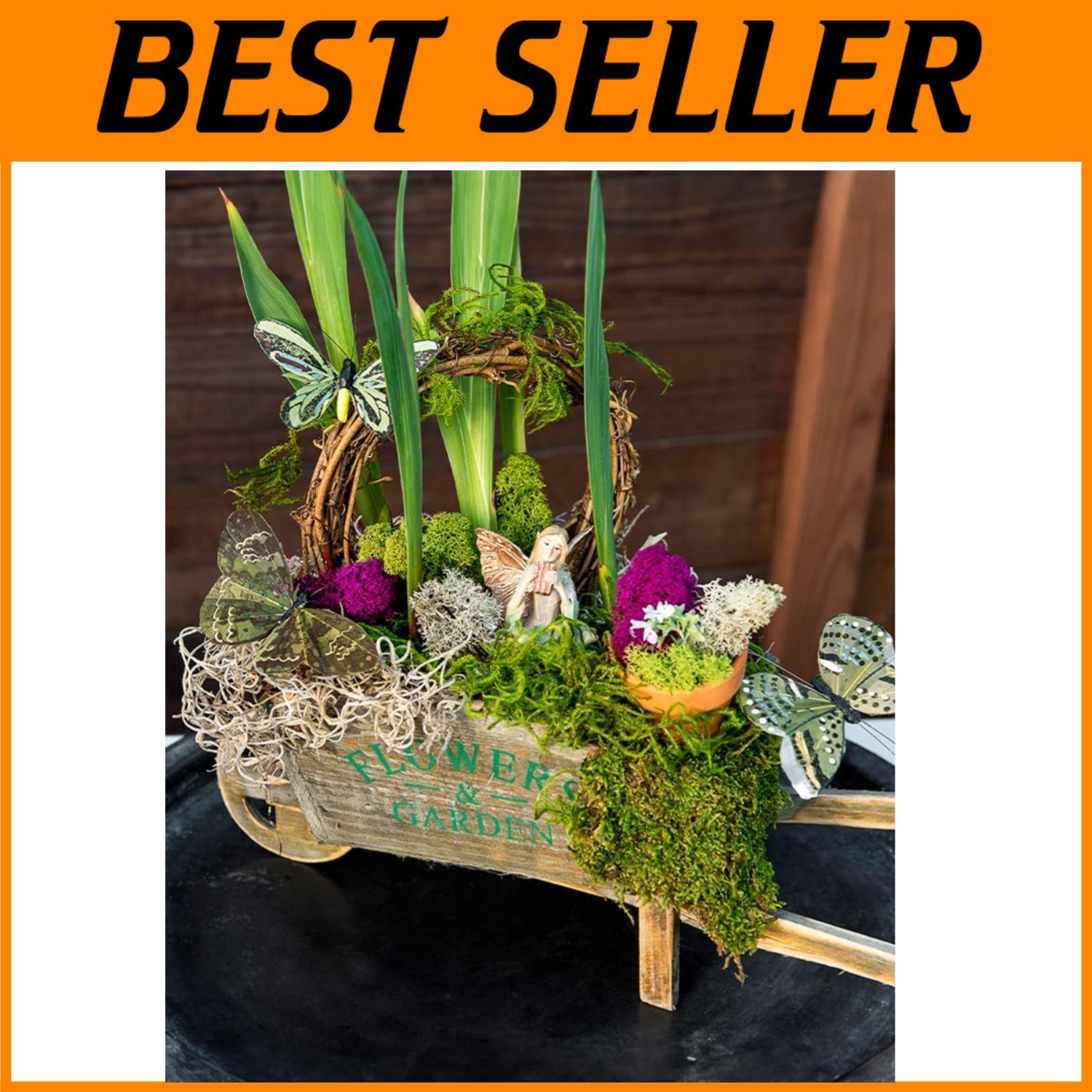 Decorative Moss Assortment, Craft Supplies
