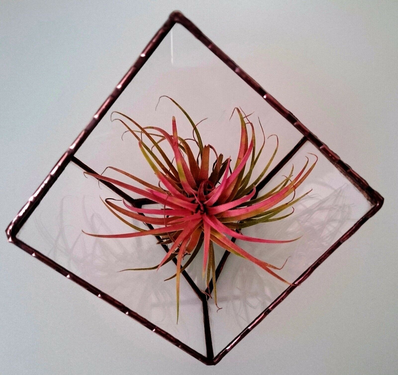 Stained Glass Terrarium Cube Geometric Transparent 2 mm Planter For Indoor