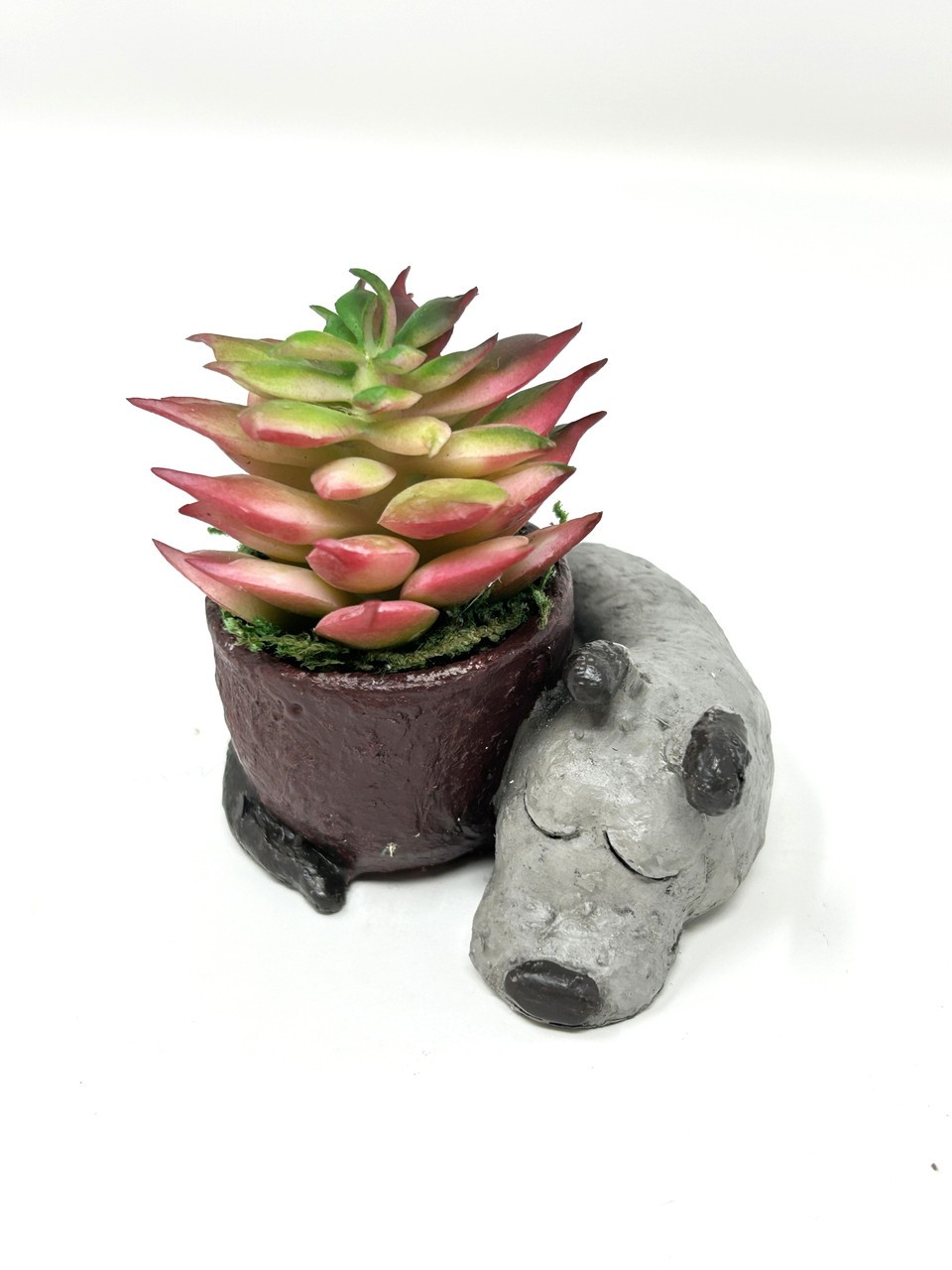 2.5″ Potted Baby SLEEPING DOG Blob House Mini pot WITH faux Red-Green Succulent