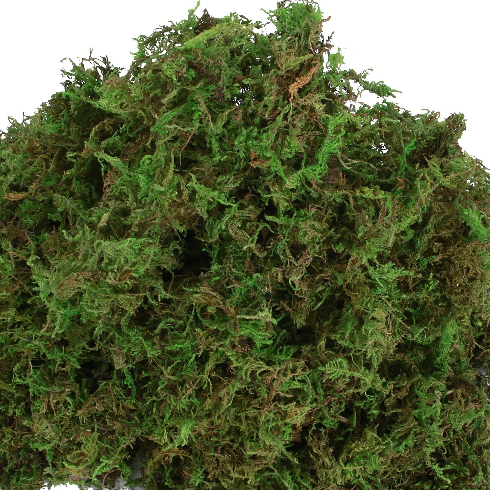 Artificial Moss for Indoor Plants, 16OZ Fake Moss for Crafts, Decorative Cent…