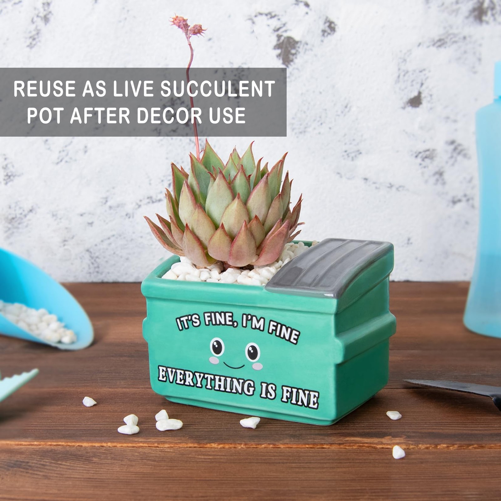 Dumpster Fire Fake Plants in Ceramic Succulent Pots Desk Decor, Emotional Pos…