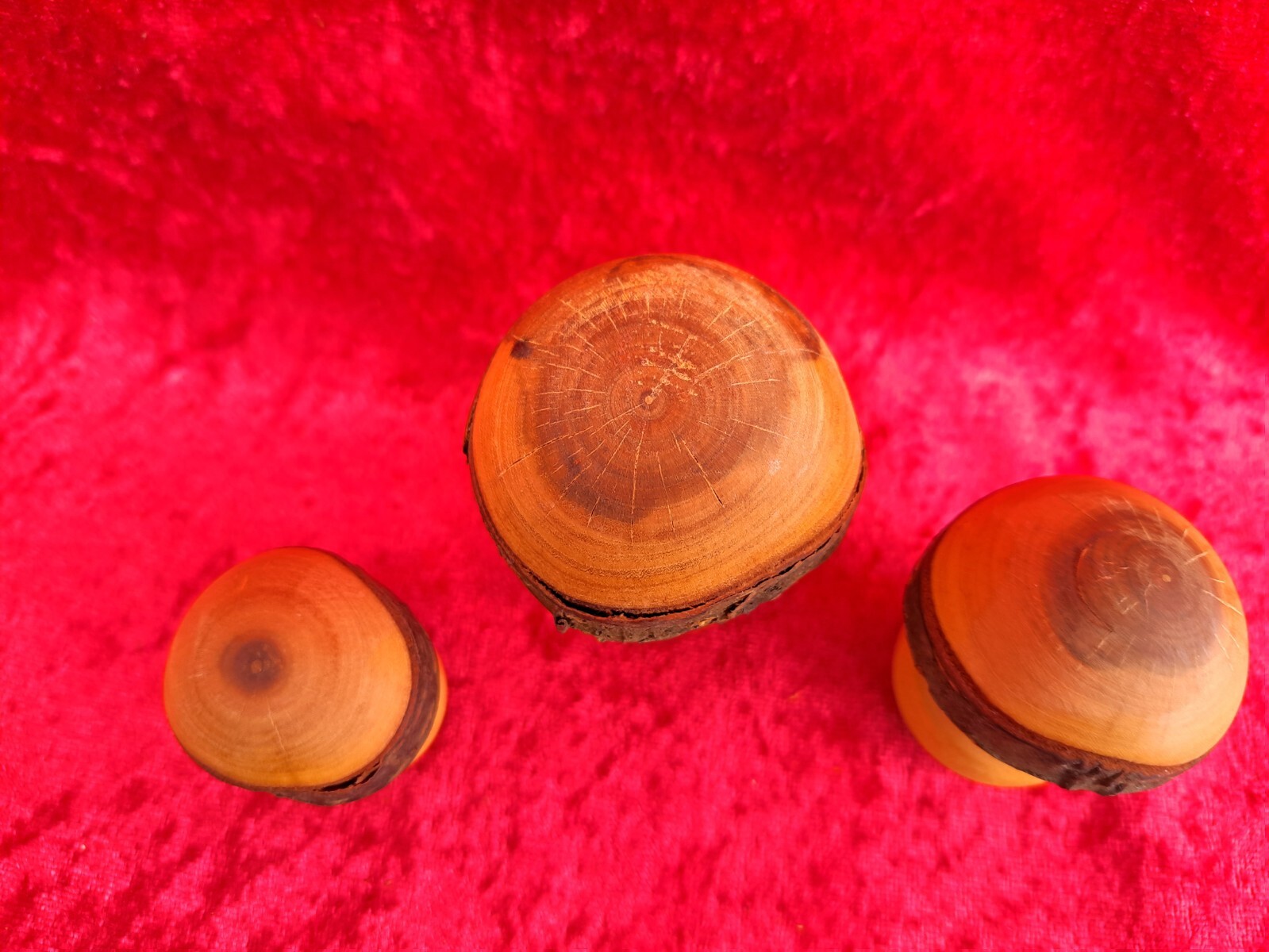 3 Beautiful Wooden Mushrooms Carved From Wood